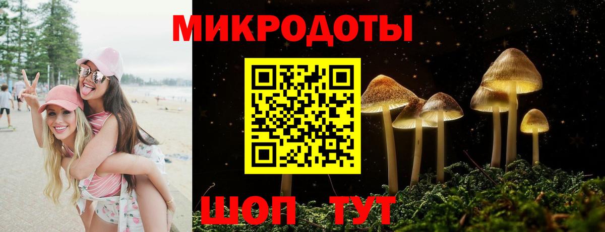 Псилоцибиновые грибы Magic Shrooms Дербент
