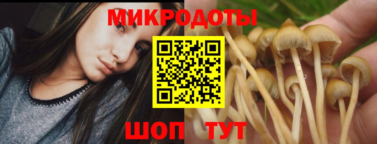 Дербент  Псилоцибиновые грибы GOLDEN TEACHER  Вход с VPN 